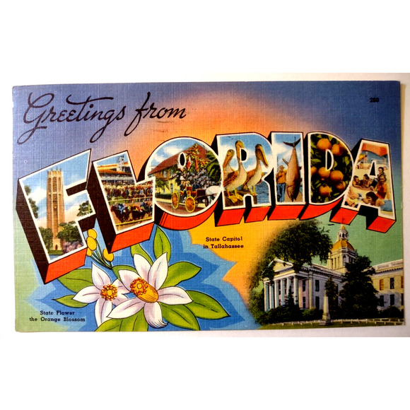 Greetings From Florida Large Big Letter Linen Postcard Tichnor Orange Blossoms - Picture 1 of 2